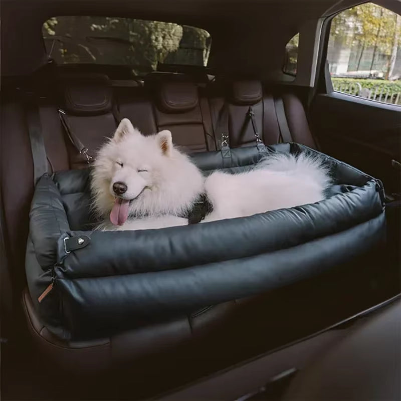 Dog Car and Travel Accessories
